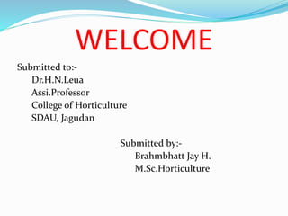 WELCOME
Submitted to:-
Dr.H.N.Leua
Assi.Professor
College of Horticulture
SDAU, Jagudan
Submitted by:-
Brahmbhatt Jay H.
M.Sc.Horticulture
 