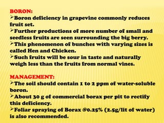 BORON:
Boron deficiency in grapevine commonly reduces
fruit set.
Further productions of more number of small and
seedless fruits are seen surrounding the big berry.
This phenomenon of bunches with varying sizes is
called Hen and Chicken.
Such fruits will be sour in taste and naturally
weigh less than the fruits from normal vines.
MANAGEMENT:
The soil should contain 1 to 2 ppm of water-soluble
boron.
About 30 g of commercial borax per pit to rectify
this deficiency.
Foliar spraying of Borax @0.25% (2.5g/lit of water)
is also recommended.
 