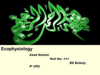 Ecophysiology
Asad Noman
Roll No: 111
BS Botany
8th
(SS)
 
