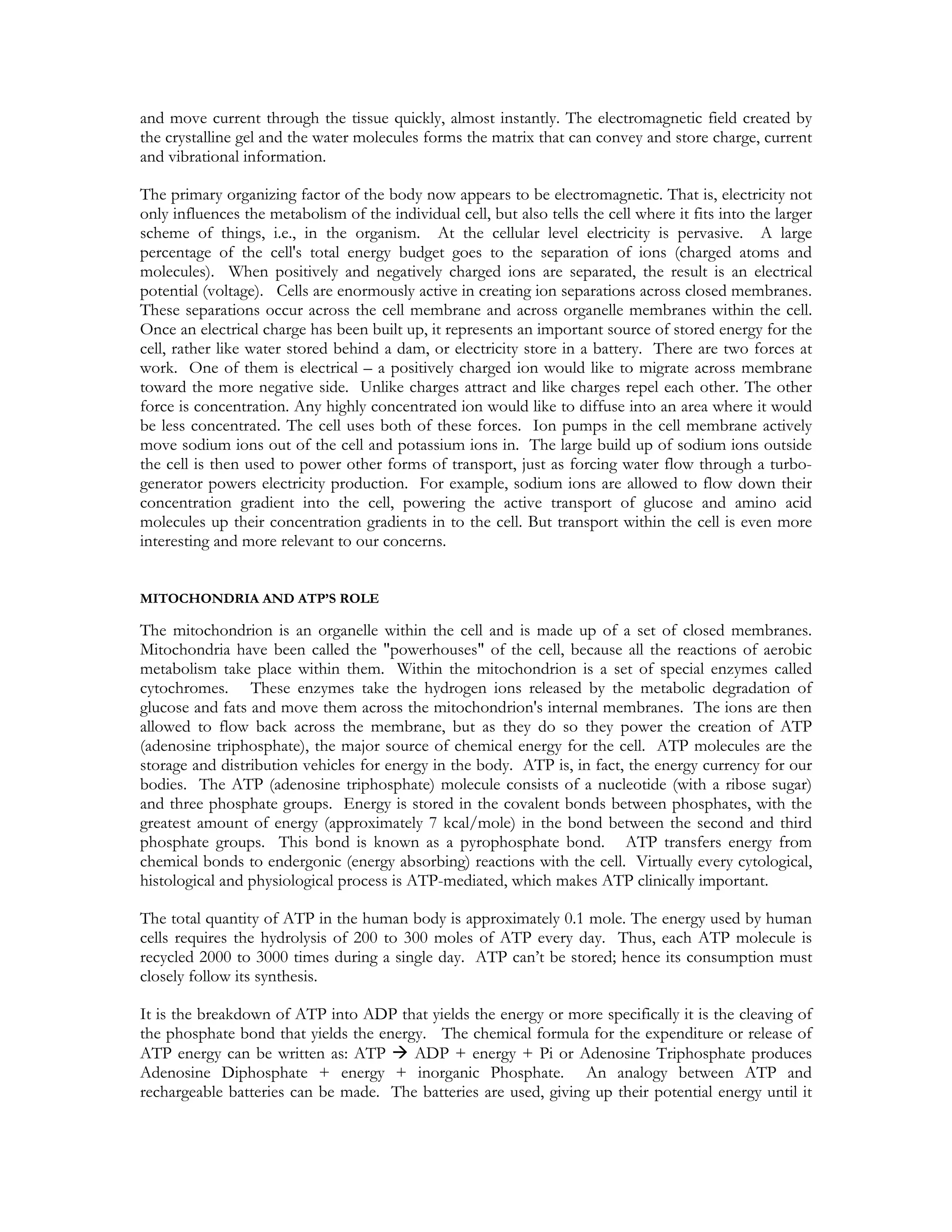 and move current through the tissue quickly, almost instantly. The electromagnetic field created by
the crystalline gel and the water molecules forms the matrix that can convey and store charge, current
and vibrational information.

The primary organizing factor of the body now appears to be electromagnetic. That is, electricity not
only influences the metabolism of the individual cell, but also tells the cell where it fits into the larger
scheme of things, i.e., in the organism. At the cellular level electricity is pervasive. A large
percentage of the cell's total energy budget goes to the separation of ions (charged atoms and
molecules). When positively and negatively charged ions are separated, the result is an electrical
potential (voltage). Cells are enormously active in creating ion separations across closed membranes.
These separations occur across the cell membrane and across organelle membranes within the cell.
Once an electrical charge has been built up, it represents an important source of stored energy for the
cell, rather like water stored behind a dam, or electricity store in a battery. There are two forces at
work. One of them is electrical – a positively charged ion would like to migrate across membrane
toward the more negative side. Unlike charges attract and like charges repel each other. The other
force is concentration. Any highly concentrated ion would like to diffuse into an area where it would
be less concentrated. The cell uses both of these forces. Ion pumps in the cell membrane actively
move sodium ions out of the cell and potassium ions in. The large build up of sodium ions outside
the cell is then used to power other forms of transport, just as forcing water flow through a turbo-
generator powers electricity production. For example, sodium ions are allowed to flow down their
concentration gradient into the cell, powering the active transport of glucose and amino acid
molecules up their concentration gradients in to the cell. But transport within the cell is even more
interesting and more relevant to our concerns.


MITOCHONDRIA AND ATP’S ROLE

The mitochondrion is an organelle within the cell and is made up of a set of closed membranes.
Mitochondria have been called the "powerhouses" of the cell, because all the reactions of aerobic
metabolism take place within them. Within the mitochondrion is a set of special enzymes called
cytochromes. These enzymes take the hydrogen ions released by the metabolic degradation of
glucose and fats and move them across the mitochondrion's internal membranes. The ions are then
allowed to flow back across the membrane, but as they do so they power the creation of ATP
(adenosine triphosphate), the major source of chemical energy for the cell. ATP molecules are the
storage and distribution vehicles for energy in the body. ATP is, in fact, the energy currency for our
bodies. The ATP (adenosine triphosphate) molecule consists of a nucleotide (with a ribose sugar)
and three phosphate groups. Energy is stored in the covalent bonds between phosphates, with the
greatest amount of energy (approximately 7 kcal/mole) in the bond between the second and third
phosphate groups. This bond is known as a pyrophosphate bond. ATP transfers energy from
chemical bonds to endergonic (energy absorbing) reactions with the cell. Virtually every cytological,
histological and physiological process is ATP-mediated, which makes ATP clinically important.

The total quantity of ATP in the human body is approximately 0.1 mole. The energy used by human
cells requires the hydrolysis of 200 to 300 moles of ATP every day. Thus, each ATP molecule is
recycled 2000 to 3000 times during a single day. ATP can’t be stored; hence its consumption must
closely follow its synthesis.

It is the breakdown of ATP into ADP that yields the energy or more specifically it is the cleaving of
the phosphate bond that yields the energy. The chemical formula for the expenditure or release of
ATP energy can be written as: ATP       ADP + energy + Pi or Adenosine Triphosphate produces
Adenosine Diphosphate + energy + inorganic Phosphate. An analogy between ATP and
rechargeable batteries can be made. The batteries are used, giving up their potential energy until it
 