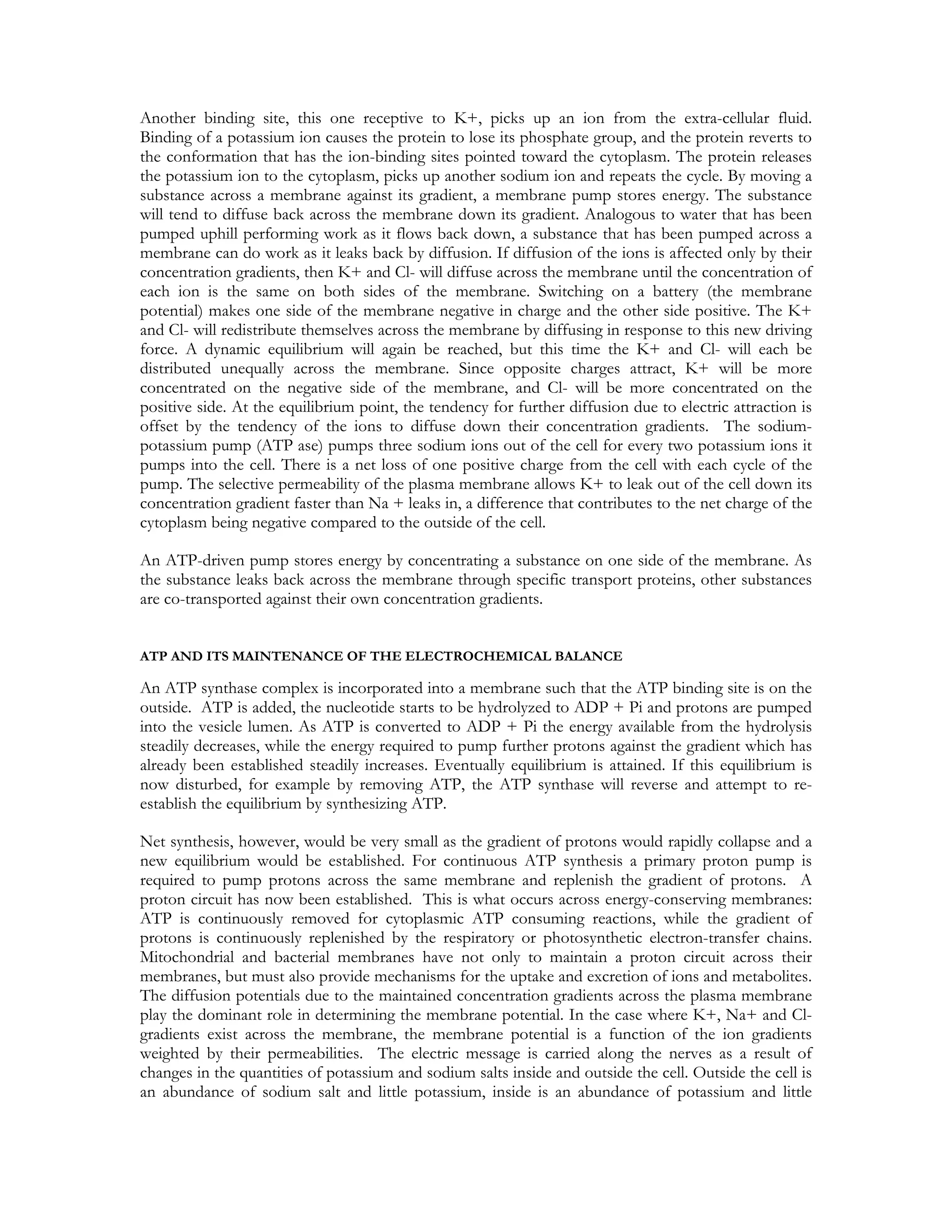 Another binding site, this one receptive to K+, picks up an ion from the extra-cellular fluid.
Binding of a potassium ion causes the protein to lose its phosphate group, and the protein reverts to
the conformation that has the ion-binding sites pointed toward the cytoplasm. The protein releases
the potassium ion to the cytoplasm, picks up another sodium ion and repeats the cycle. By moving a
substance across a membrane against its gradient, a membrane pump stores energy. The substance
will tend to diffuse back across the membrane down its gradient. Analogous to water that has been
pumped uphill performing work as it flows back down, a substance that has been pumped across a
membrane can do work as it leaks back by diffusion. If diffusion of the ions is affected only by their
concentration gradients, then K+ and Cl- will diffuse across the membrane until the concentration of
each ion is the same on both sides of the membrane. Switching on a battery (the membrane
potential) makes one side of the membrane negative in charge and the other side positive. The K+
and Cl- will redistribute themselves across the membrane by diffusing in response to this new driving
force. A dynamic equilibrium will again be reached, but this time the K+ and Cl- will each be
distributed unequally across the membrane. Since opposite charges attract, K+ will be more
concentrated on the negative side of the membrane, and Cl- will be more concentrated on the
positive side. At the equilibrium point, the tendency for further diffusion due to electric attraction is
offset by the tendency of the ions to diffuse down their concentration gradients. The sodium-
potassium pump (ATP ase) pumps three sodium ions out of the cell for every two potassium ions it
pumps into the cell. There is a net loss of one positive charge from the cell with each cycle of the
pump. The selective permeability of the plasma membrane allows K+ to leak out of the cell down its
concentration gradient faster than Na + leaks in, a difference that contributes to the net charge of the
cytoplasm being negative compared to the outside of the cell.

An ATP-driven pump stores energy by concentrating a substance on one side of the membrane. As
the substance leaks back across the membrane through specific transport proteins, other substances
are co-transported against their own concentration gradients.


ATP AND ITS MAINTENANCE OF THE ELECTROCHEMICAL BALANCE

An ATP synthase complex is incorporated into a membrane such that the ATP binding site is on the
outside. ATP is added, the nucleotide starts to be hydrolyzed to ADP + Pi and protons are pumped
into the vesicle lumen. As ATP is converted to ADP + Pi the energy available from the hydrolysis
steadily decreases, while the energy required to pump further protons against the gradient which has
already been established steadily increases. Eventually equilibrium is attained. If this equilibrium is
now disturbed, for example by removing ATP, the ATP synthase will reverse and attempt to re-
establish the equilibrium by synthesizing ATP.

Net synthesis, however, would be very small as the gradient of protons would rapidly collapse and a
new equilibrium would be established. For continuous ATP synthesis a primary proton pump is
required to pump protons across the same membrane and replenish the gradient of protons. A
proton circuit has now been established. This is what occurs across energy-conserving membranes:
ATP is continuously removed for cytoplasmic ATP consuming reactions, while the gradient of
protons is continuously replenished by the respiratory or photosynthetic electron-transfer chains.
Mitochondrial and bacterial membranes have not only to maintain a proton circuit across their
membranes, but must also provide mechanisms for the uptake and excretion of ions and metabolites.
The diffusion potentials due to the maintained concentration gradients across the plasma membrane
play the dominant role in determining the membrane potential. In the case where K+, Na+ and Cl-
gradients exist across the membrane, the membrane potential is a function of the ion gradients
weighted by their permeabilities. The electric message is carried along the nerves as a result of
changes in the quantities of potassium and sodium salts inside and outside the cell. Outside the cell is
an abundance of sodium salt and little potassium, inside is an abundance of potassium and little
 