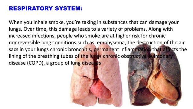 Physiological effects of smoking on the respiratory system & all other ...