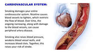 cigarette smoking effects on circulatory system Physiological effects of smoking on the respiratory system & all other  systems - medical information