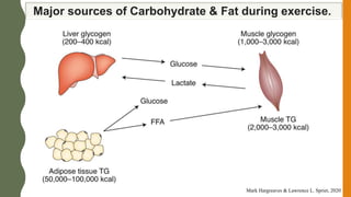 Major sources of Carbohydrate & Fat during exercise.
Mark Hargreaves & Lawrence L. Spriet, 2020
 