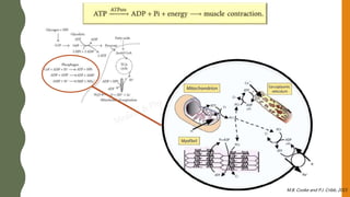 M.B. Cooke and P.J. Cribb, 2015
 