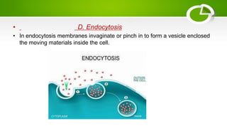 • D. Endocytosis
• In endocytosis membranes invaginate or pinch in to form a vesicle enclosed
the moving materials inside the cell.
 