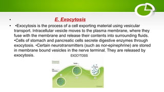 • E. Exocytosis
• •Exocytosis is the process of a cell exporting material using vesicular
transport. Intracellular vesicle moves to the plasma membrane, where they
fuse with the membrane and release their contents into surrounding fluids.
•Cells of stomach and pancreatic cells secrete digestive enzymes through
exocytosis. •Certain neurotransmitters (such as nor-epinephrine) are stored
in membrane bound vesicles in the nerve terminal. They are released by
exocytosis.
 