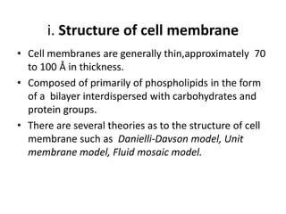i. Structure of cell membrane
• Cell membranes are generally thin,approximately 70
to 100 Å in thickness.
• Composed of primarily of phospholipids in the form
of a bilayer interdispersed with carbohydrates and
protein groups.
• There are several theories as to the structure of cell
membrane such as Danielli-Davson model, Unit
membrane model, Fluid mosaic model.
 