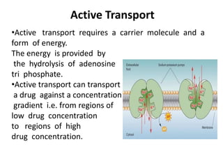 Active Transport
•Active transport requires a carrier molecule and a
form of energy.
The energy is provided by
the hydrolysis of adenosine
tri phosphate.
•Active transport can transport
a drug against a concentration
gradient i.e. from regions of
low drug concentration
to regions of high
drug concentration.
 