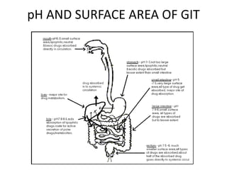 pH AND SURFACE AREA OF GIT
 