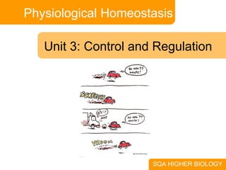 Physiological Homeostasis SQA HIGHER BIOLOGY Unit 3: Control and Regulation 