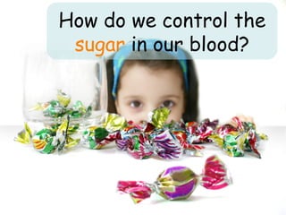 How do we control the  sugar  in our blood? 