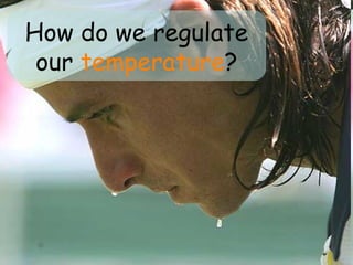 How do we regulate our  temperature ? 