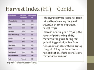 Harvest Index (HI) Contd..
Fig-HI of some important crops
• Improving harvest index has been
critical to advancing the yield
potential of some important
cereal crops
• Harvest index in grain crops is the
result of partitioning of dry
matter to the grain during the
grain filling period, either from
net canopy photosynthesis during
the grain filling period or from
remobilization of pre anthesis dry
matter accumulation
 