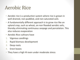 Aerobic Rice
• Aerobic rice is a production system where rice is grown in
well-drained, non-puddled, and non-saturated soils
• A fundamentally different approach is to grow rice like an
upland crop, such as wheat, on non flooded aerobic soils,
thereby eliminating continuous seepage and percolation. This
also reduces evaporation
• Aerobic Rice cultivars have
1. Vigorous seedlings
2. Rapid biomass development
3. Deep roots
4. Erect leaves
• They have a high HI even under moderate stress
 