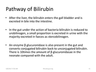 Pathway of Bilirubin
• After the liver, the bilirubin enters the gall bladder and is
excreted in bile into the intestine.
• In the gut under the action of bacteria bilirubin is reduced to
urobilinogen, a small proportion is excreted in urine with the
majority excreted in faeces as stercobilinogen.
• An enzyme β glucuronidase is also present in the gut and
converts conjugated bilirubin back to unconjugated bilirubin.
There is 10times the amount of β glucuronidasae in the
neonate compared with the adult.
3/8/2017 3:56 AM 15Nirsuba gurung
 