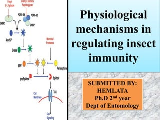Physiological
mechanisms in
regulating insect
immunity
SUBMITTED BY:
HEMLATA
Ph.D 2nd year
Dept of Entomology
 