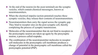  At the end of the neuron (in the axon terminal) are the synaptic
vesicles, which contain chemical messengers, known as
neurotransmitters.
 When the electrical impulse (action potential) reaches these
synaptic vesicles, they release their contents of neurotransmitters.
 Neurotransmitters then carry the signal across the synaptic gap.
They bind to receptor sites on the post-synaptic cell, thereby
completing the process of synaptic transmission.
 Molecules of the neurotransmitter that do not bind to receptors in
the postsynaptic neuron are taken up again by the presynaptic
neuron, a process called reuptake.
 The combination of the neurotransmitter molecules to receptor
cell molecules in the postsynaptic cell membrane produces a
change of potential in the postsynaptic cell membrane called the
postsynaptic potential (PSP).
 