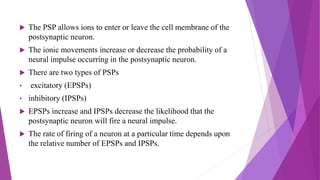  The PSP allows ions to enter or leave the cell membrane of the
postsynaptic neuron.
 The ionic movements increase or decrease the probability of a
neural impulse occurring in the postsynaptic neuron.
 There are two types of PSPs
• excitatory (EPSPs)
• inhibitory (IPSPs)
 EPSPs increase and IPSPs decrease the likelihood that the
postsynaptic neuron will fire a neural impulse.
 The rate of firing of a neuron at a particular time depends upon
the relative number of EPSPs and IPSPs.
 