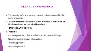 NEURAL TRANSMISSION
 The function of a neuron is to transmit information within the
nervous system.
 Neural transmission occurs when a neuron is activated, or
fired (sends out an electrical impulse).
IMPORTANT TERMS
1. Potential
• the term potential refers to a difference in electrical charges.
• Neurons have two types of potentials-
• a resting potential
• an action potential
 