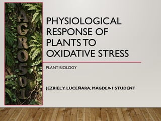 Physiological Responses of Plants to Oxidative Stress: Mechanisms and ...