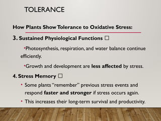 Physiological Responses of Plants to Oxidative Stress: Mechanisms and ...