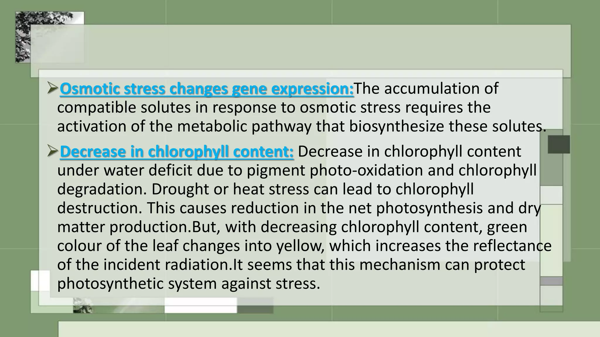 Physiological response of plants to stresses | PPTX