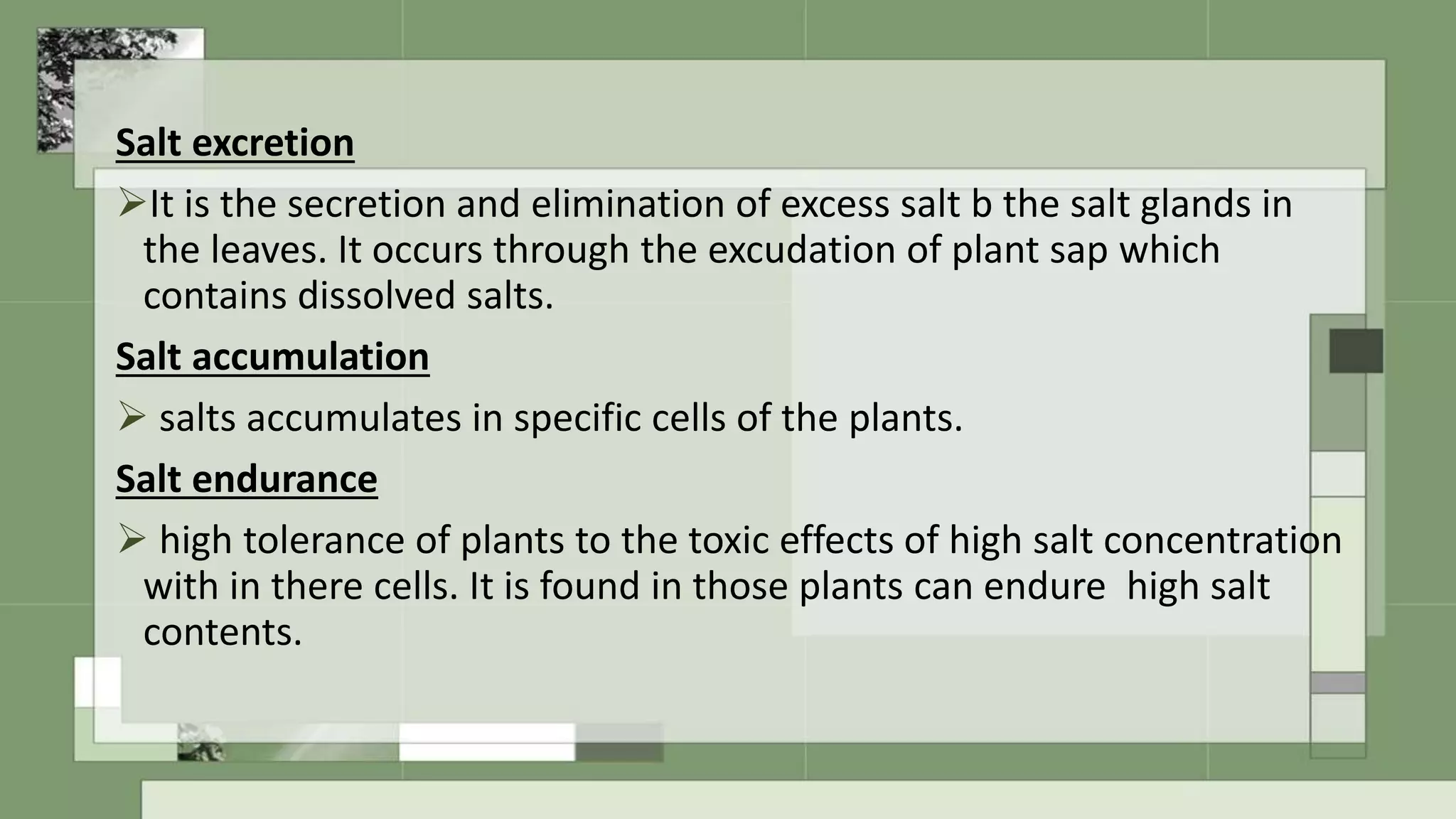 Physiological response of plants to stresses | PPTX