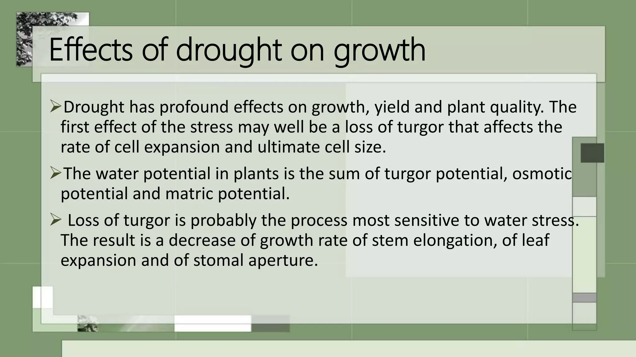 Physiological response of plants to stresses | PPTX
