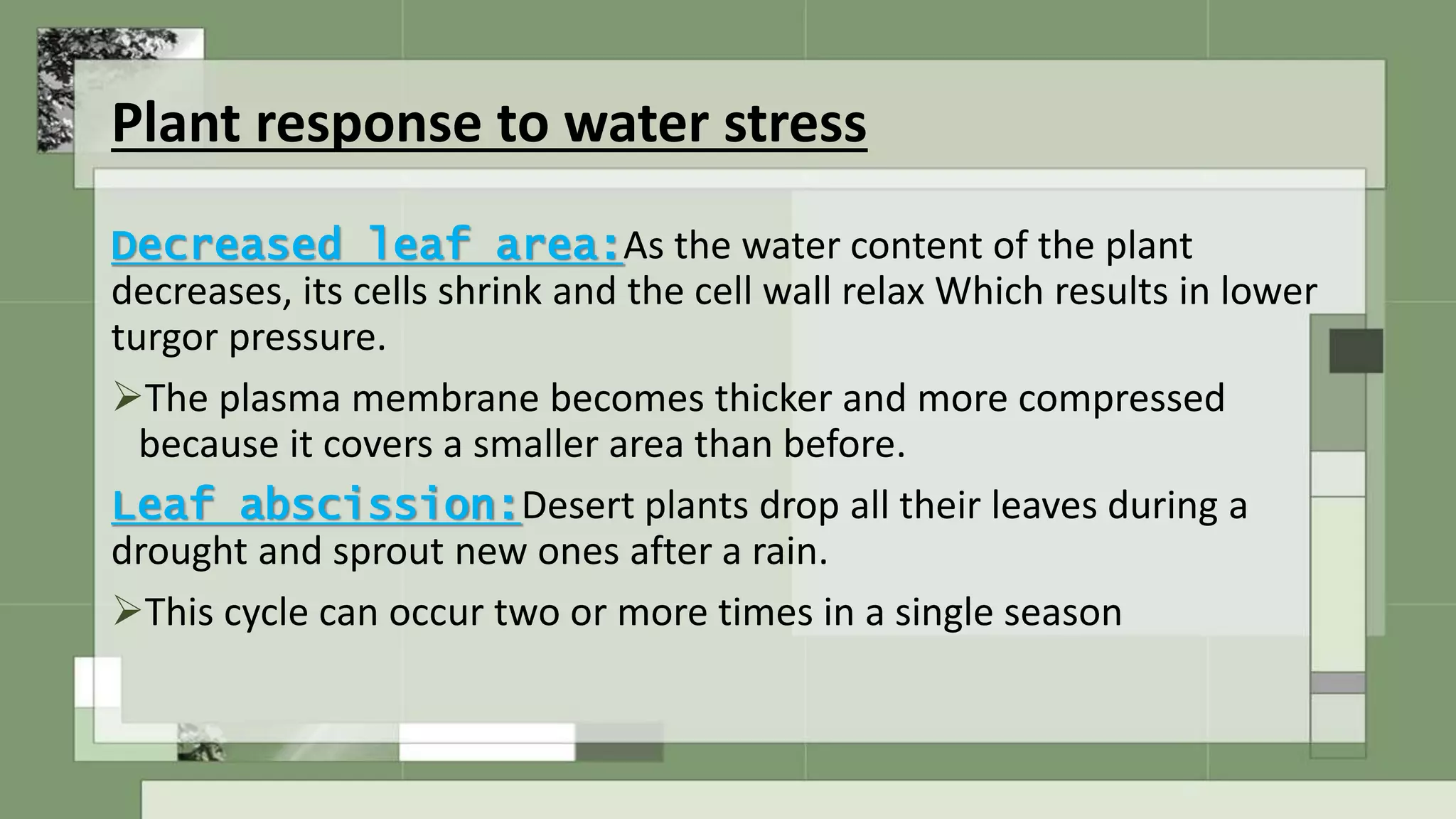 Physiological response of plants to stresses | PPTX