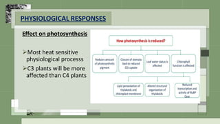 Physiological response of plants to stresses | PPTX