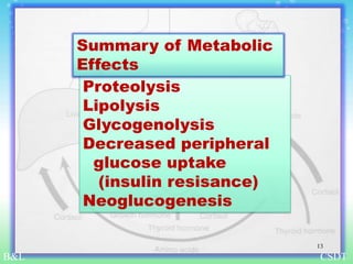 Proteolysis
Lipolysis
Glycogenolysis
Decreased peripheral
glucose uptake
(insulin resisance)
Neoglucogenesis
CSDT
Summary of Metabolic
Effects
B&L
13
 