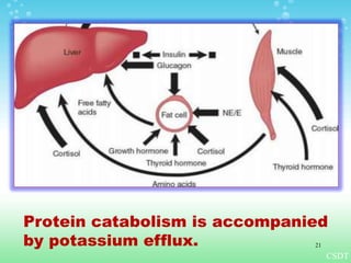 This is why, administration of
sodium is restricted over the first
few days after surgery, to avoid
further overloading of sodium.
Protein catabolism is accompanied
by potassium efflux.
CSDT
21
 