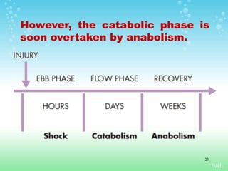 B&L
However, the catabolic phase is
soon overtaken by anabolism.
23
 