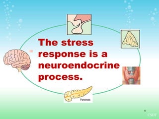 The stress
response is a
neuroendocrine
process.
CSDT
9
 