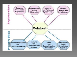 Physiological role of melatonin | PPTX