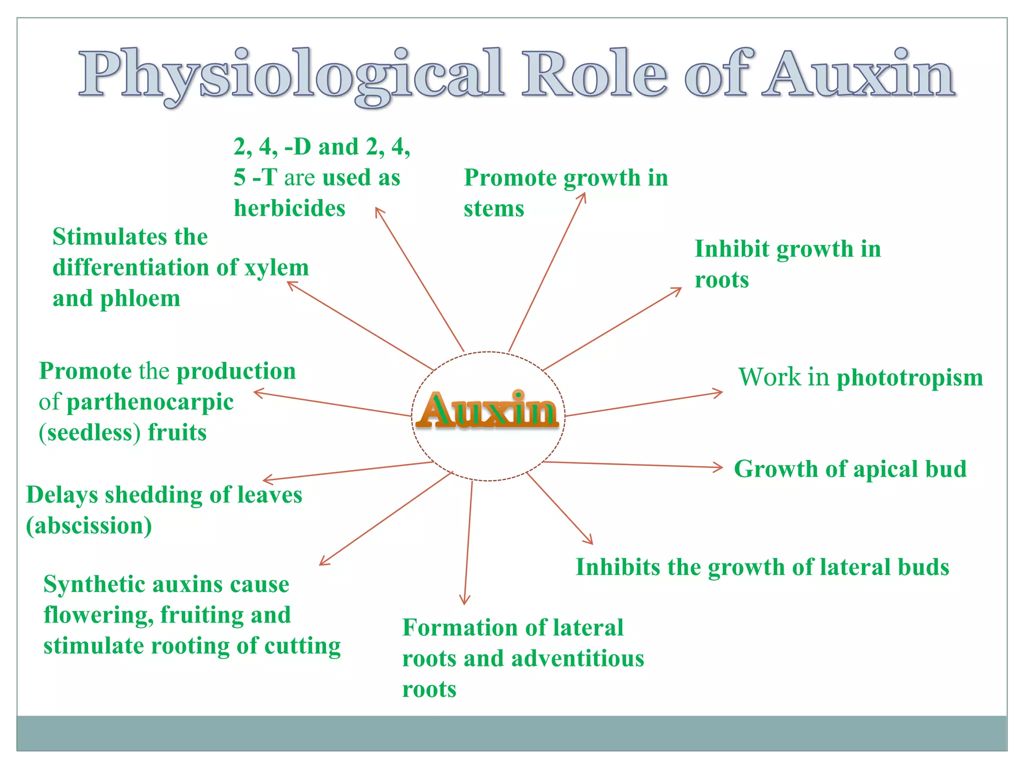 Physiological role of growth hormones ( auxins, gibberellins ...
