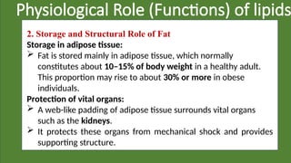 Physiological Role (Functions) of lipids
2. Storage and Structural Role of Fat
Storage in adipose tissue:
 Fat is stored mainly in adipose tissue, which normally
constitutes about 10–15% of body weight in a healthy adult.
This proportion may rise to about 30% or more in obese
individuals.
Protection of vital organs:
 A web-like padding of adipose tissue surrounds vital organs
such as the kidneys.
 It protects these organs from mechanical shock and provides
supporting structure.
 