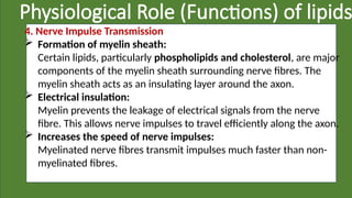 Physiological Role (Functions) of lipids
4. Nerve Impulse Transmission
 Formation of myelin sheath:
Certain lipids, particularly phospholipids and cholesterol, are major
components of the myelin sheath surrounding nerve fibres. The
myelin sheath acts as an insulating layer around the axon.
 Electrical insulation:
Myelin prevents the leakage of electrical signals from the nerve
fibre. This allows nerve impulses to travel efficiently along the axon.
 Increases the speed of nerve impulses:
Myelinated nerve fibres transmit impulses much faster than non-
myelinated fibres.
 