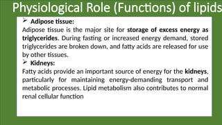 Physiological Role (Functions) of lipids
 Adipose tissue:
Adipose tissue is the major site for storage of excess energy as
triglycerides. During fasting or increased energy demand, stored
triglycerides are broken down, and fatty acids are released for use
by other tissues.
 Kidneys:
Fatty acids provide an important source of energy for the kidneys,
particularly for maintaining energy-demanding transport and
metabolic processes. Lipid metabolism also contributes to normal
renal cellular function
 