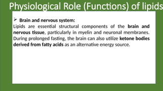 Physiological Role (Functions) of lipids
 Brain and nervous system:
Lipids are essential structural components of the brain and
nervous tissue, particularly in myelin and neuronal membranes.
During prolonged fasting, the brain can also utilize ketone bodies
derived from fatty acids as an alternative energy source.
 