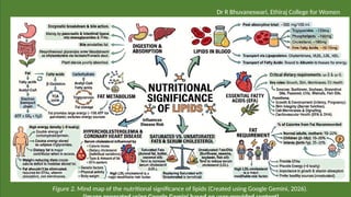 Figure 2. Mind map of the nutritional significance of lipids (Created using Google Gemini, 2026).
Dr R Bhuvaneswari, Ethiraj College for Women
 