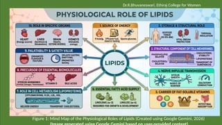 Figure 1: Mind Map of the Physiological Roles of Lipids (Created using Google Gemini, 2026)
Dr.R.Bhuvaneswari, Ethiraj College for Women
 