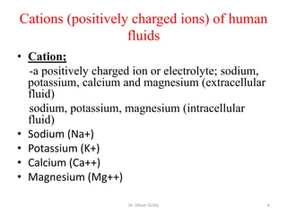 Physiological roles of minerals | PPTX