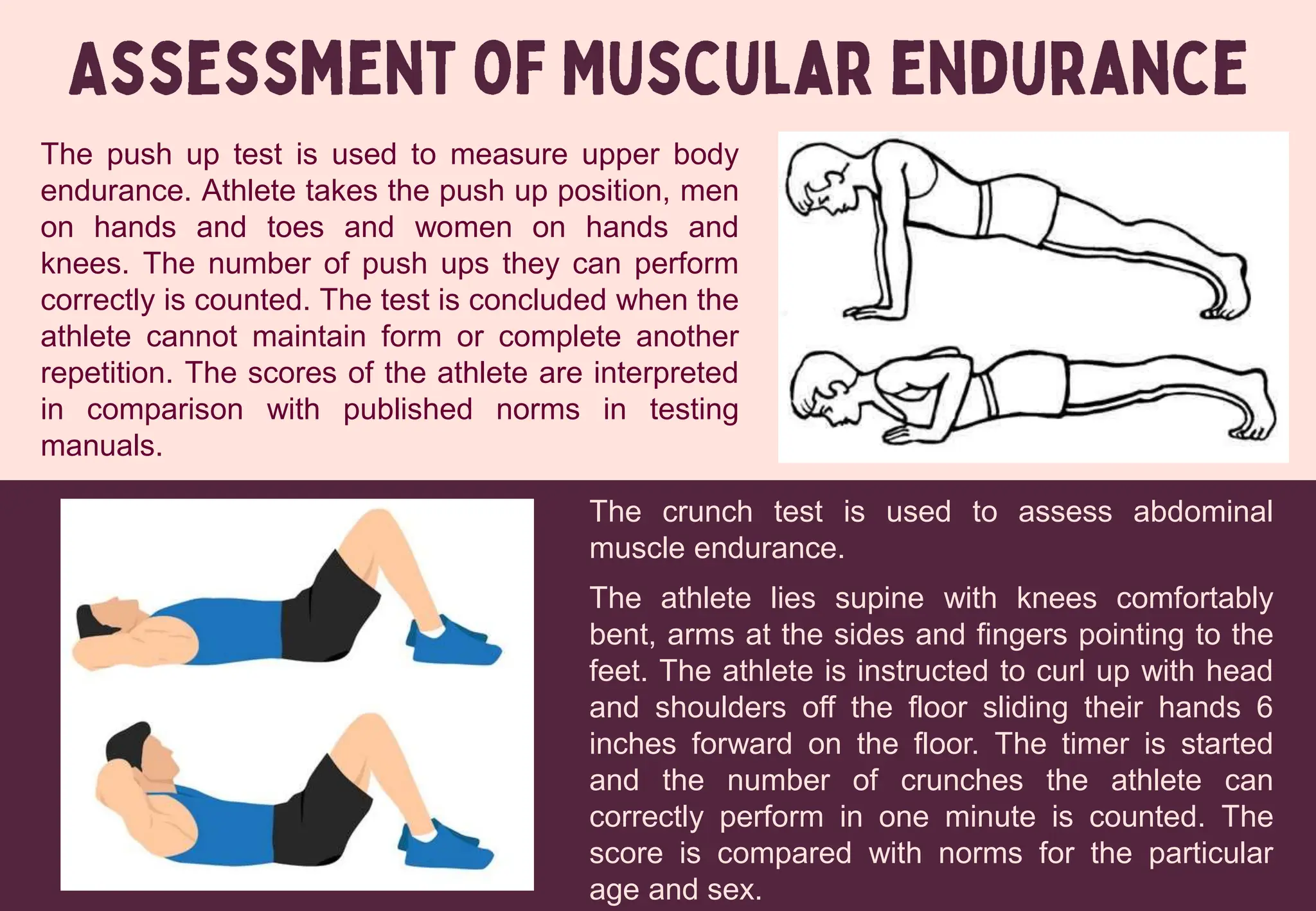 The push up test is used to measure upper body
endurance. Athlete takes the push up position, men
on hands and toes and women on hands and
knees. The number of push ups they can perform
correctly is counted. The test is concluded when the
athlete cannot maintain form or complete another
repetition. The scores of the athlete are interpreted
in comparison with published norms in testing
manuals.
The crunch test is used to assess abdominal
muscle endurance.
The athlete lies supine with knees comfortably
bent, arms at the sides and fingers pointing to the
feet. The athlete is instructed to curl up with head
and shoulders off the floor sliding their hands 6
inches forward on the floor. The timer is started
and the number of crunches the athlete can
correctly perform in one minute is counted. The
score is compared with norms for the particular
age and sex.
 