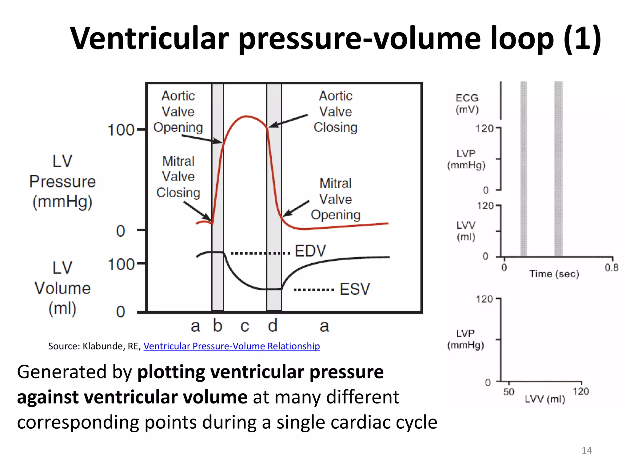 Ventricular pressure-volume loop (1)

Source: Klabunde, RE, Ventricular Pressure-Volume Relationship

Generated by plotting ventricular pressure
against ventricular volume at many different
corresponding points during a single cardiac cycle
14

 