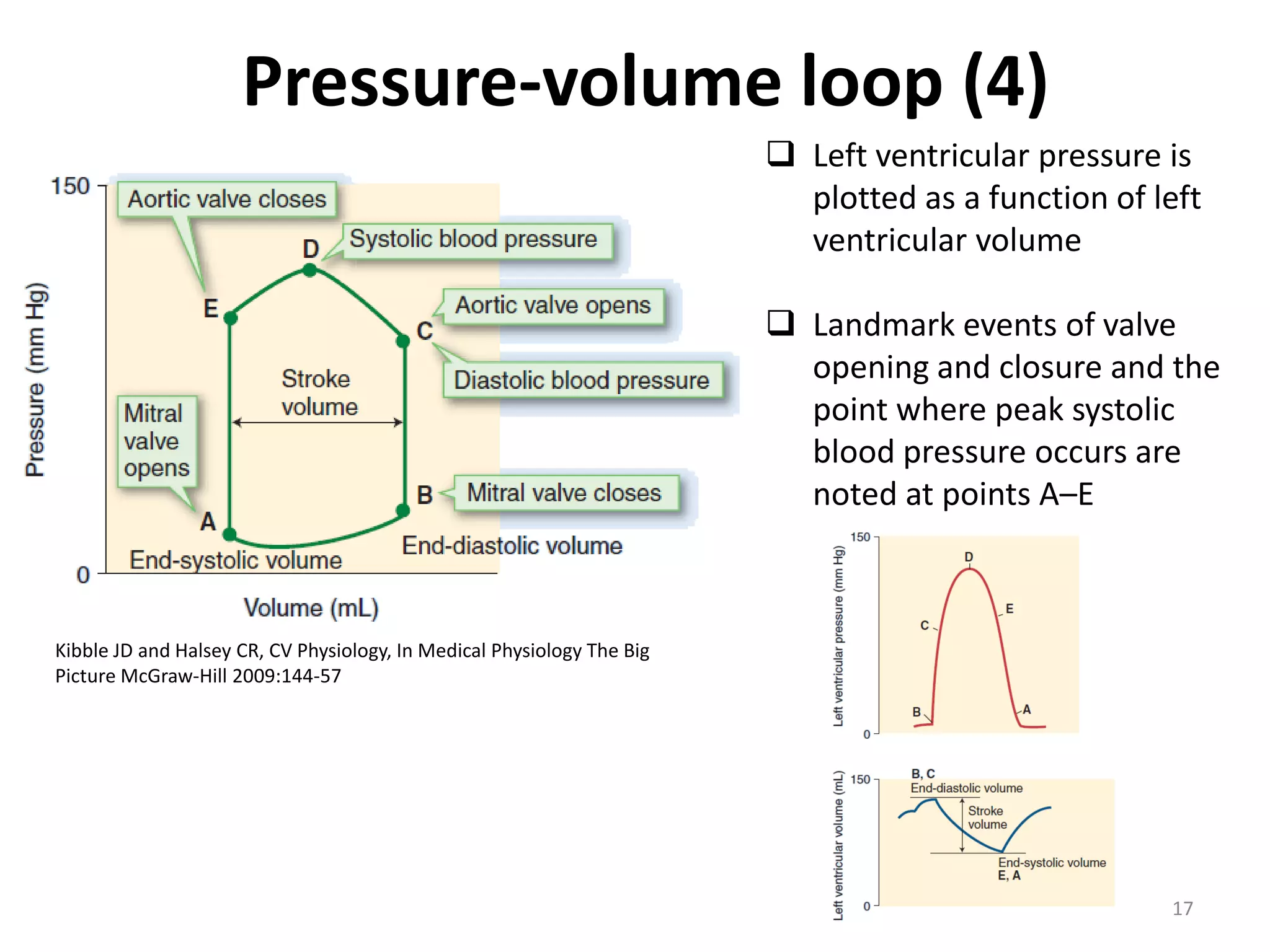 Pressure-volume loop (4)
 Left ventricular pressure is
plotted as a function of left
ventricular volume

 Landmark events of valve
opening and closure and the
point where peak systolic
blood pressure occurs are
noted at points A–E

Kibble JD and Halsey CR, CV Physiology, In Medical Physiology The Big
Picture McGraw-Hill 2009:144-57

17

 