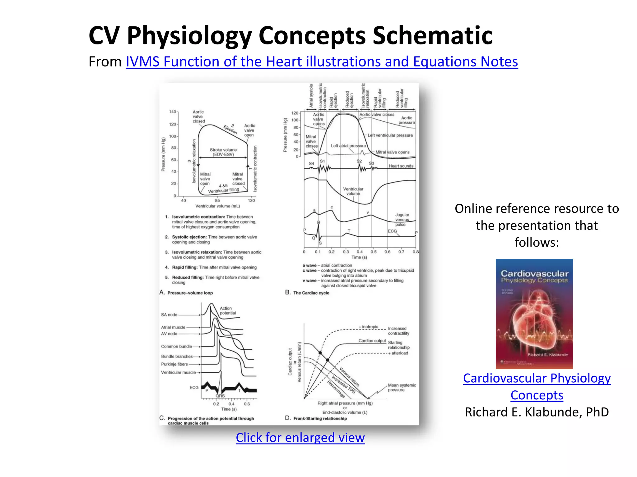 CV Physiology Concepts Schematic
From IVMS Function of the Heart illustrations and Equations Notes

Online reference resource to
the presentation that
follows:

Cardiovascular Physiology
Concepts
Richard E. Klabunde, PhD
Click for enlarged view

 