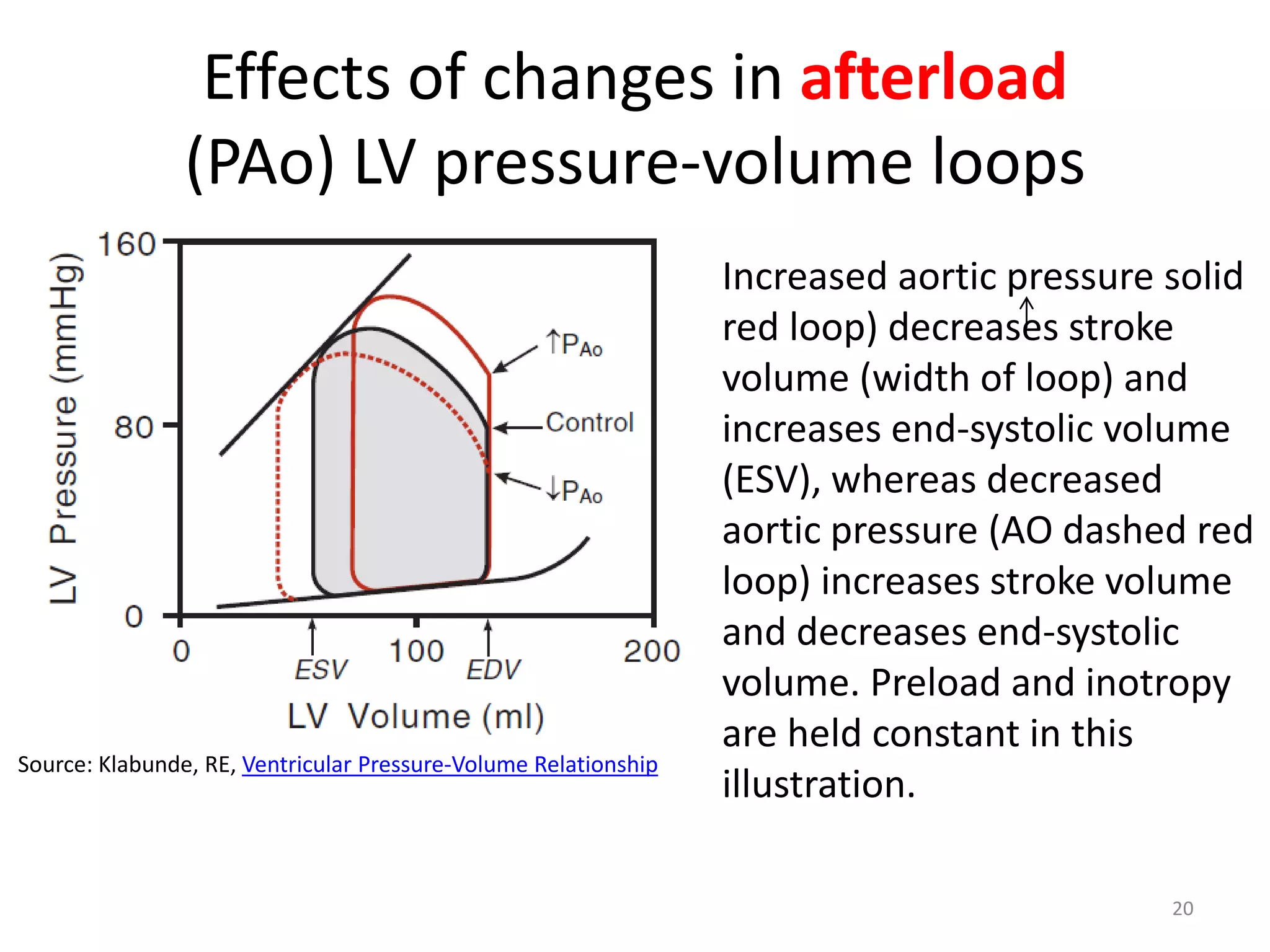 Effects of changes in afterload
(PAo) LV pressure-volume loops

Source: Klabunde, RE, Ventricular Pressure-Volume Relationship

Increased aortic pressure solid
red loop) decreases stroke
volume (width of loop) and
increases end-systolic volume
(ESV), whereas decreased
aortic pressure (AO dashed red
loop) increases stroke volume
and decreases end-systolic
volume. Preload and inotropy
are held constant in this
illustration.
20

 