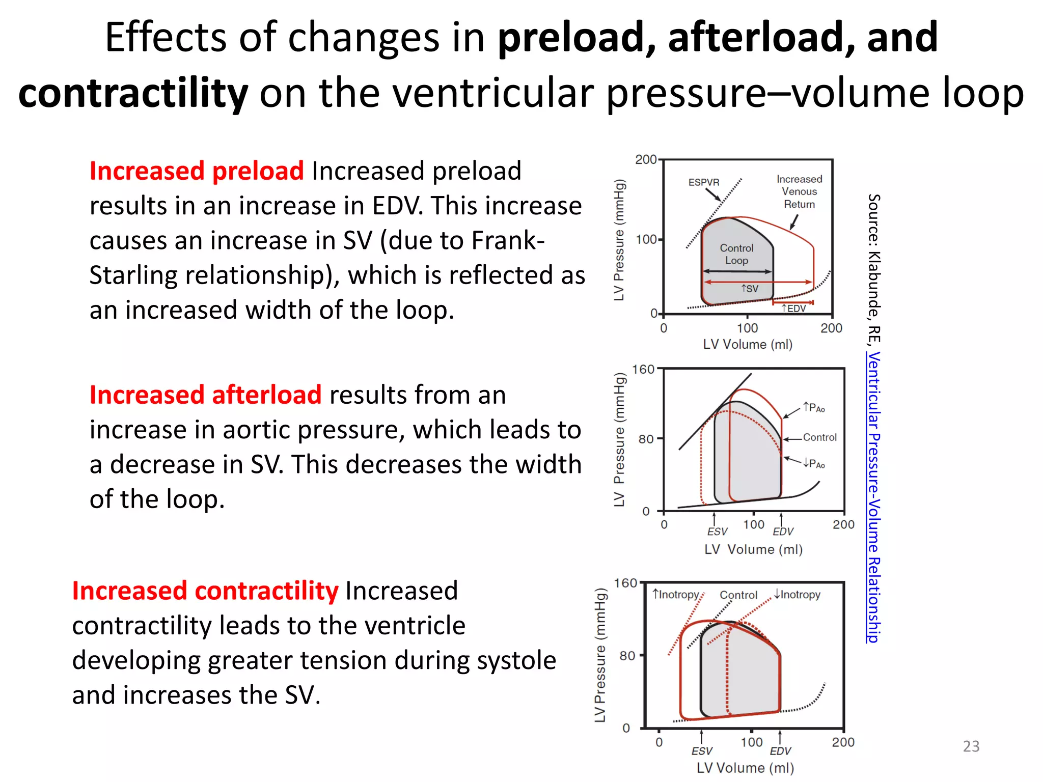 Effects of changes in preload, afterload, and
contractility on the ventricular pressure–volume loop

Increased afterload results from an
increase in aortic pressure, which leads to
a decrease in SV. This decreases the width
of the loop.
Increased contractility Increased
contractility leads to the ventricle
developing greater tension during systole
and increases the SV.

Source: Klabunde, RE, Ventricular Pressure-Volume Relationship

Increased preload Increased preload
results in an increase in EDV. This increase
causes an increase in SV (due to FrankStarling relationship), which is reflected as
an increased width of the loop.

23

 